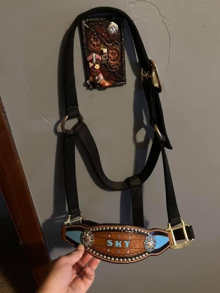 Horse halter