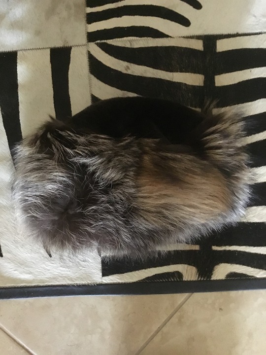 Max Mara fox fur hat size L New