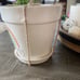 Rae Dunn Large Positive Vibes Rainbow Planter Pot
