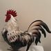 Metal / Tin Rooster