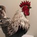 Metal / Tin Rooster