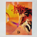The Lord of the Rings Big Box PC Game - Interplay (CD-Rom, 1993)