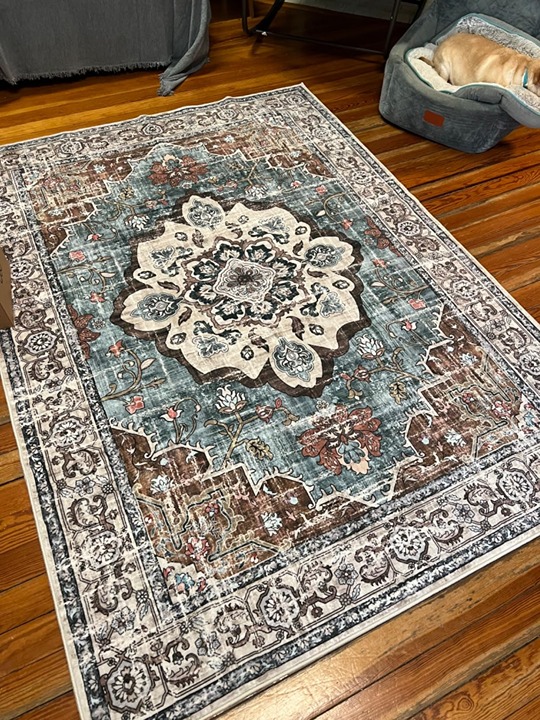 Area Rugs 5x7Ft Living Room Rug Washable Non-Slip Vintage Rugs