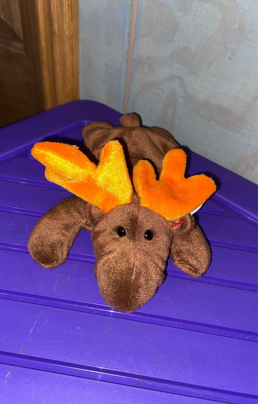 Chocolate beanie baby