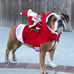 Santa Claus Riding Dog Costume Cute pet costume Size XL