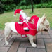 Santa Claus Riding Dog Costume Cute pet costume Size XL