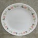 Corelle Tangerine Garden Dinner Plates 10 1/4” Floral Design Set of 4