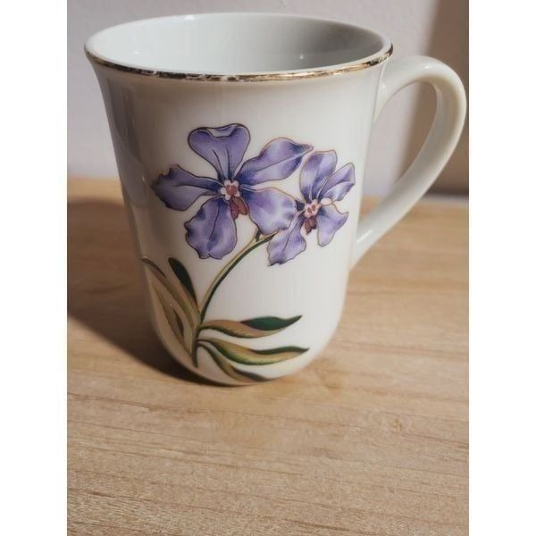 Daughters of American Revolution mug