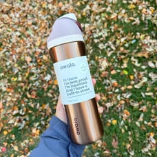 Owala Hearth & Hand Copper Bells 24oz FreeSip Limited Edition Exclusive NEW