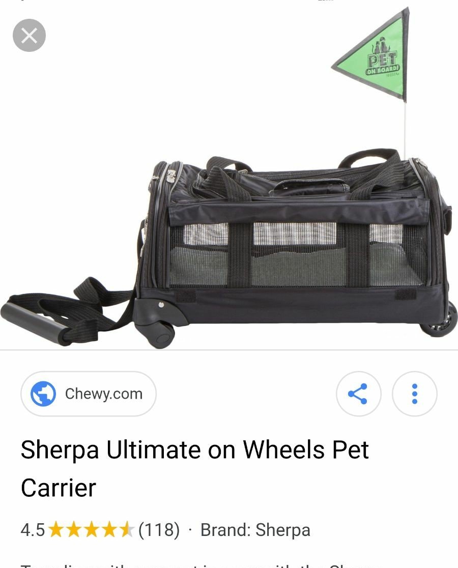 dog carrier