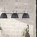 Emliviar 3-Light Bathroom Vanity Light Fixture, Black Finish with Metal Shade, 4