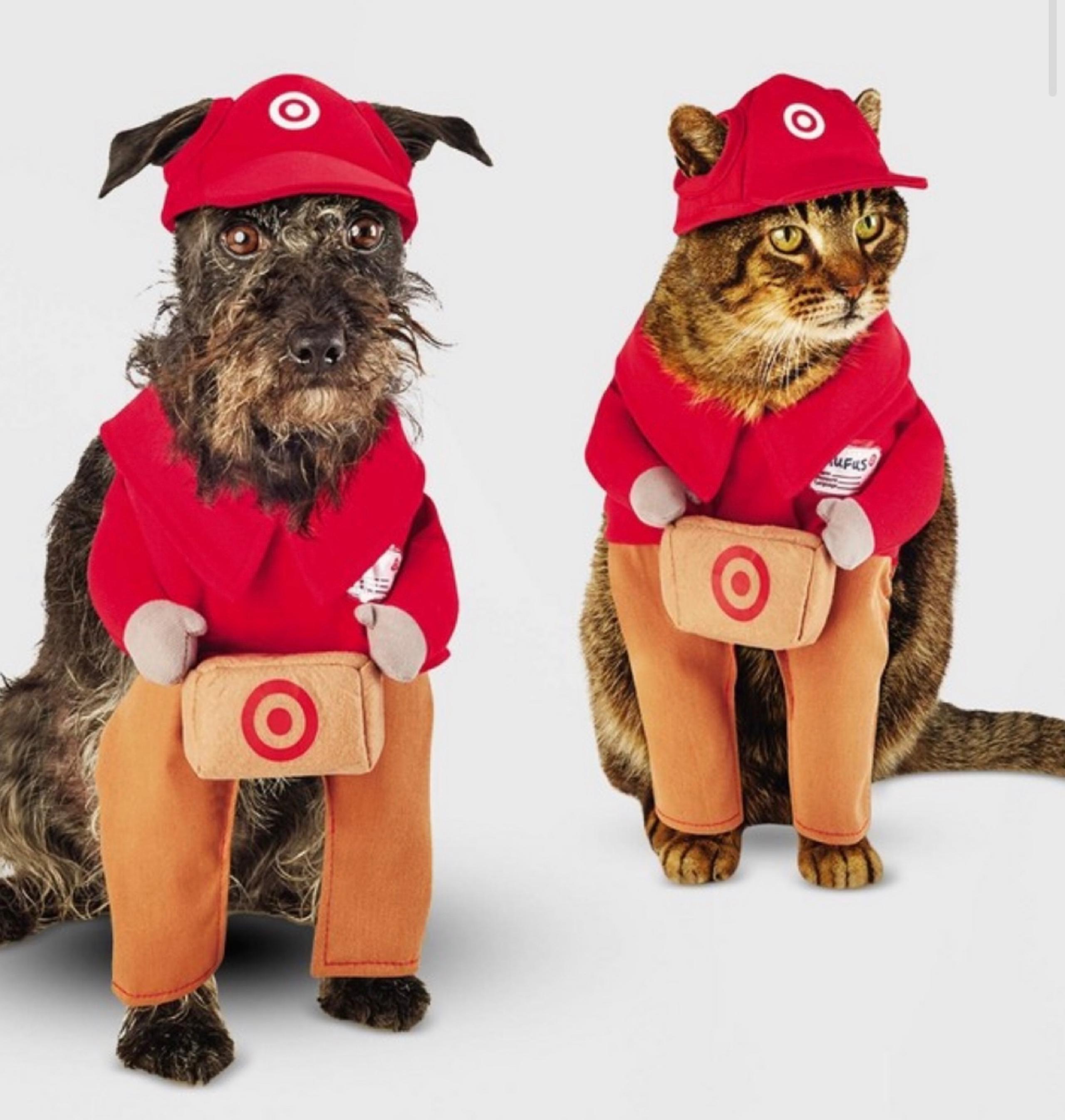 Target Team Member Dog and Cat Costume - XS - Wondershop