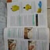 Nurse Aide books