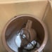 Nostalgia homemade ice cream maker new