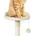 52-in Height Cat Tree Tower Condo-R3DG