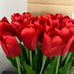 Set of (2) 14.5 Tulip Bundles Red by Valerie