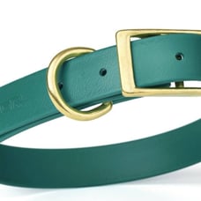 TEAL BLUE Viper Biothane Waterproof Collar - Brass Hardware W 1.5 . L 16-20