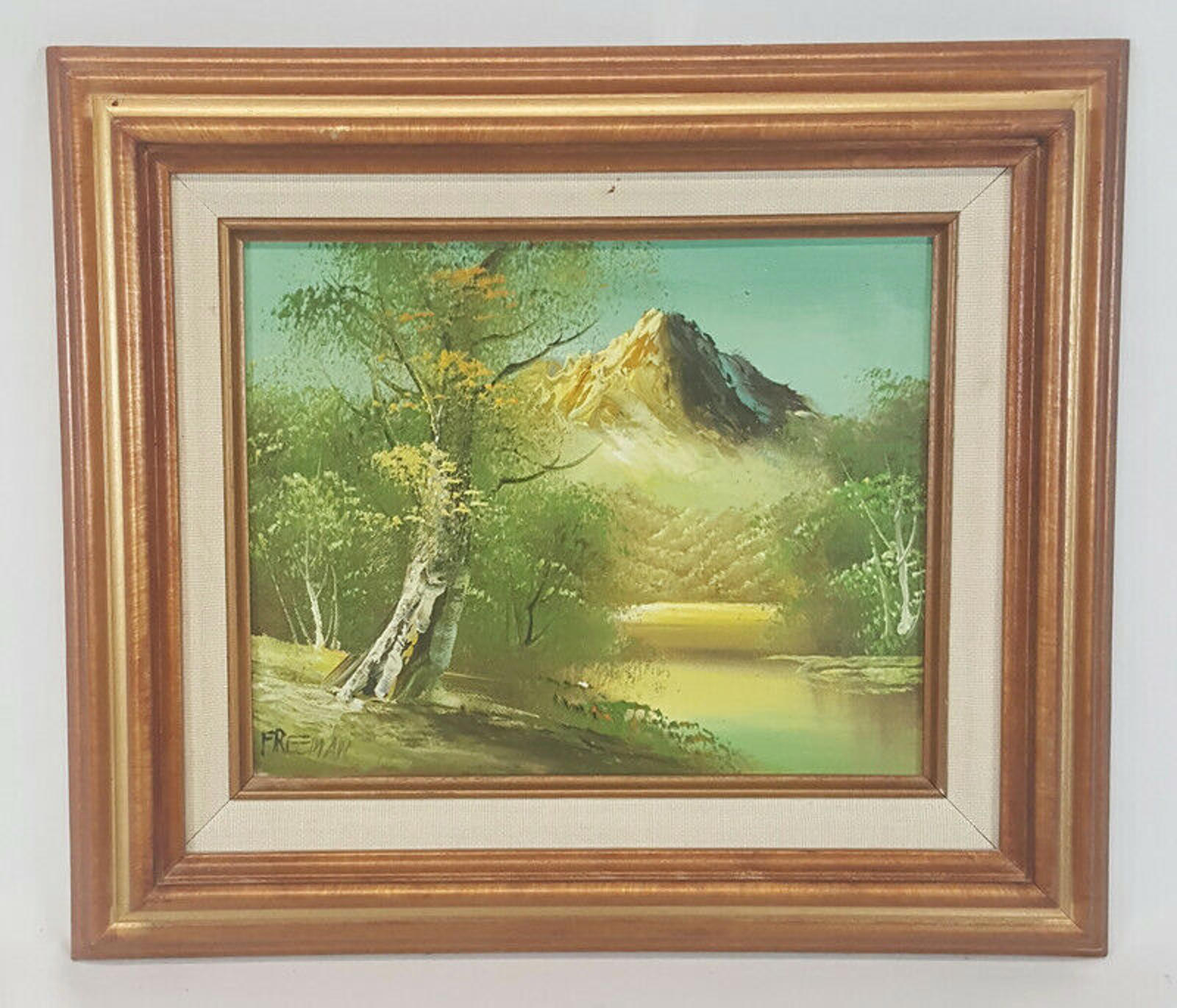 Freeman Mountains Oil Painting on Canvas Signed Freeman Framed 13 x 15