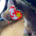 Scorch ty beanie baby. Retired. Rare
