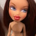 Bratz campfire doll lot