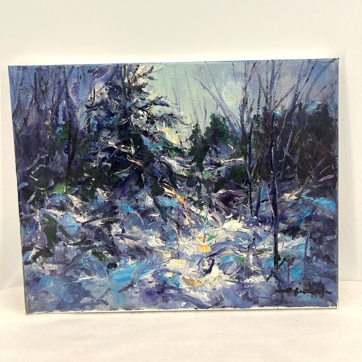 Original Artwork Study 11”x14” Oil Canvas Moraine Hills Winter Tadeusz Seidel