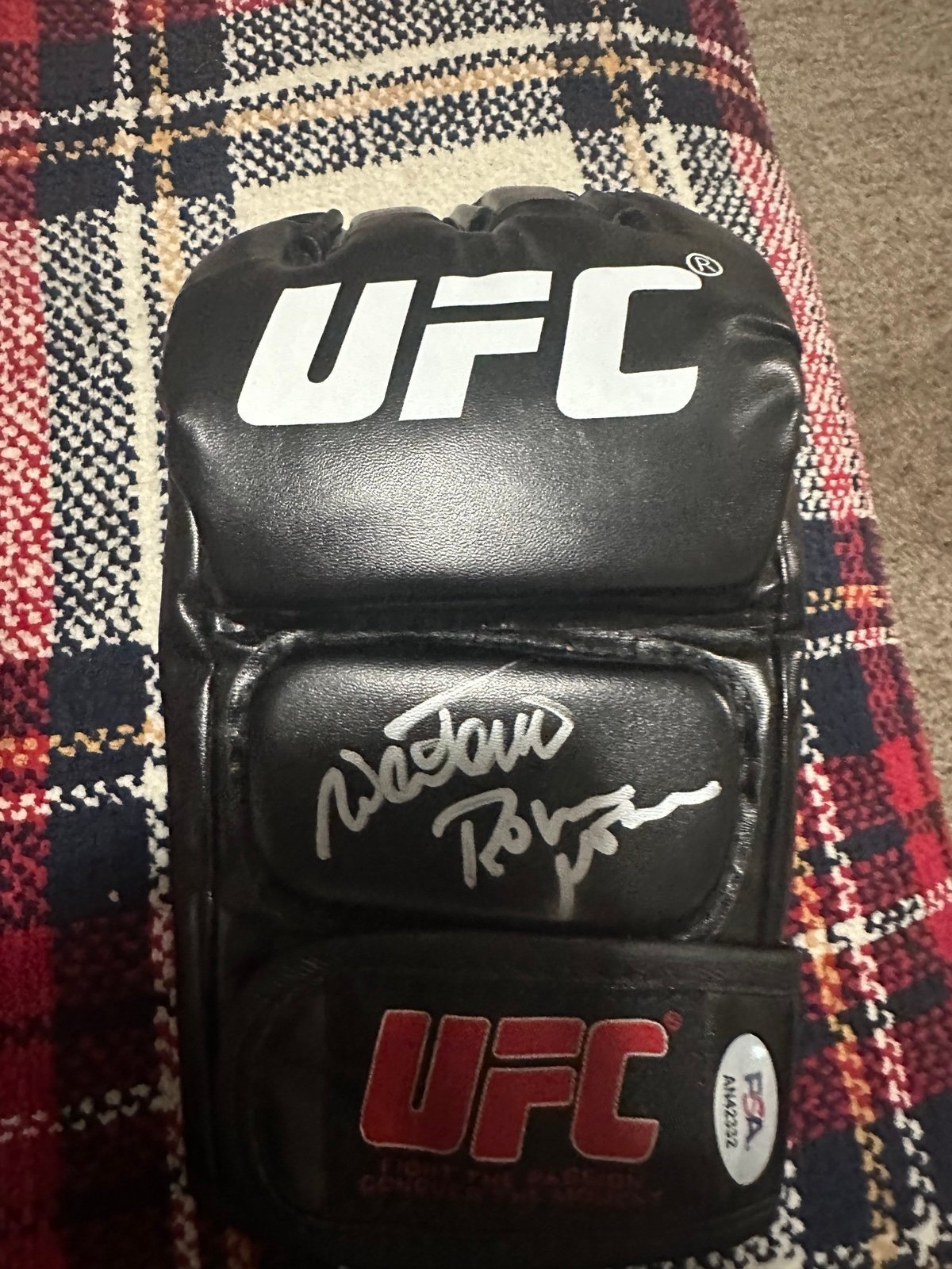 Antonio Rodrigo Nogueira and Antonio Rogério Nogueira Signed UFC glove