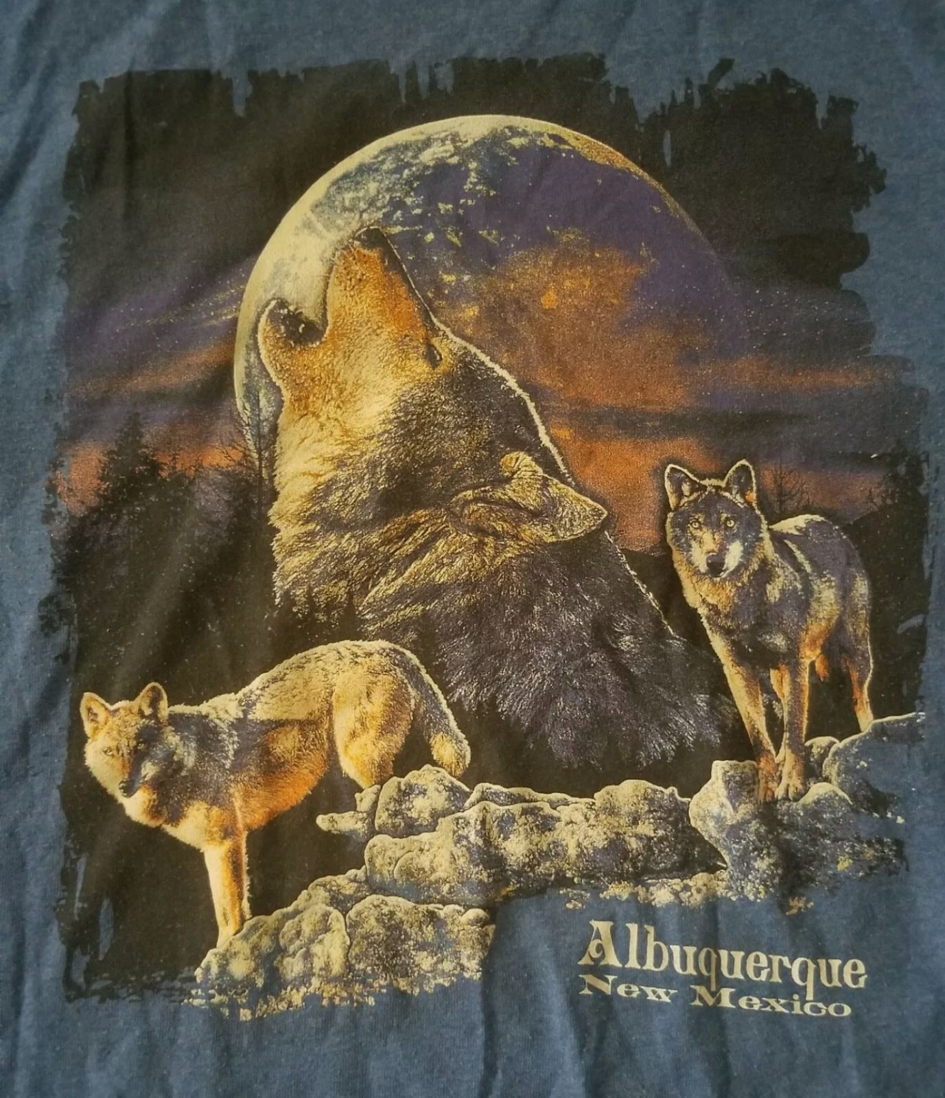 Vintage 90s New Mexico Shirt Mens Size Large - Preowned
