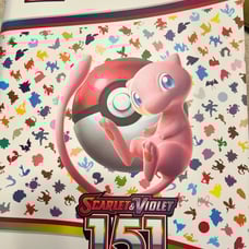 151 Binder