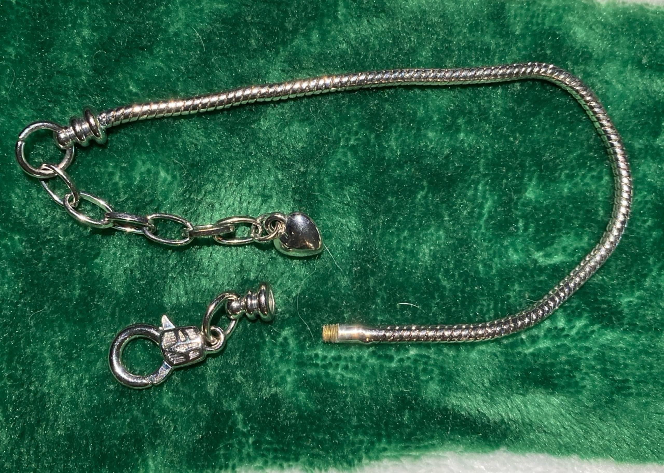 Stainless Steel Snake Chain Bracelet with Extender
