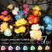 2 Solar Garden Lights - Newest Version Solar Lights Outdoor, 7-Color Changing