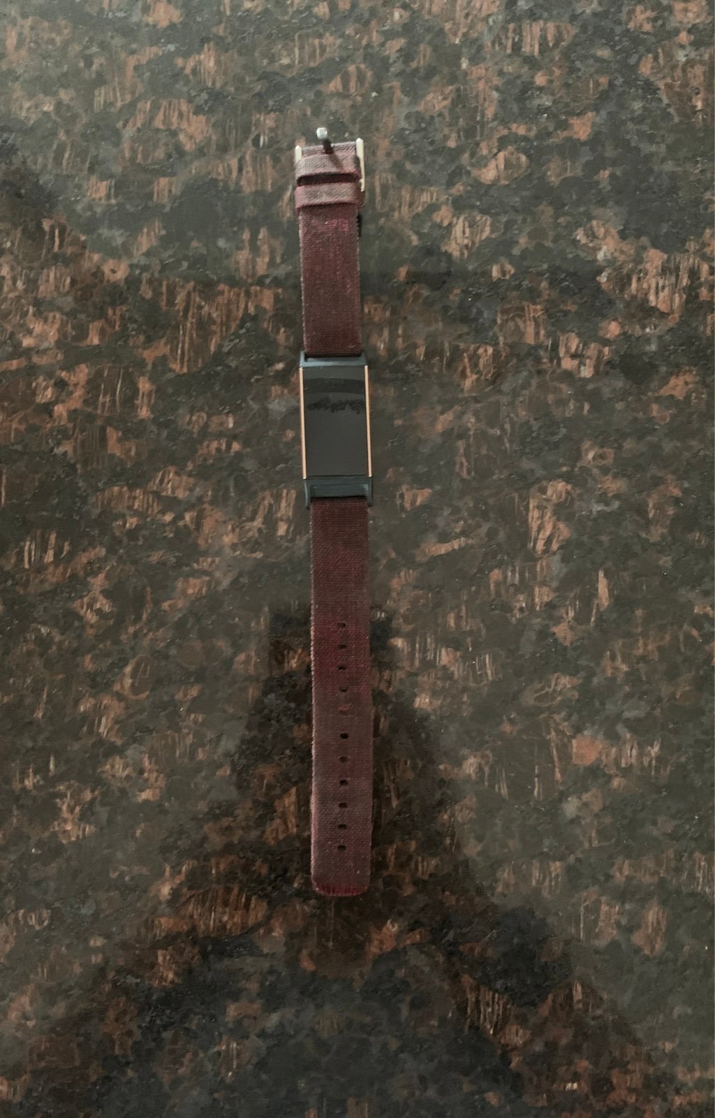 Fitbit