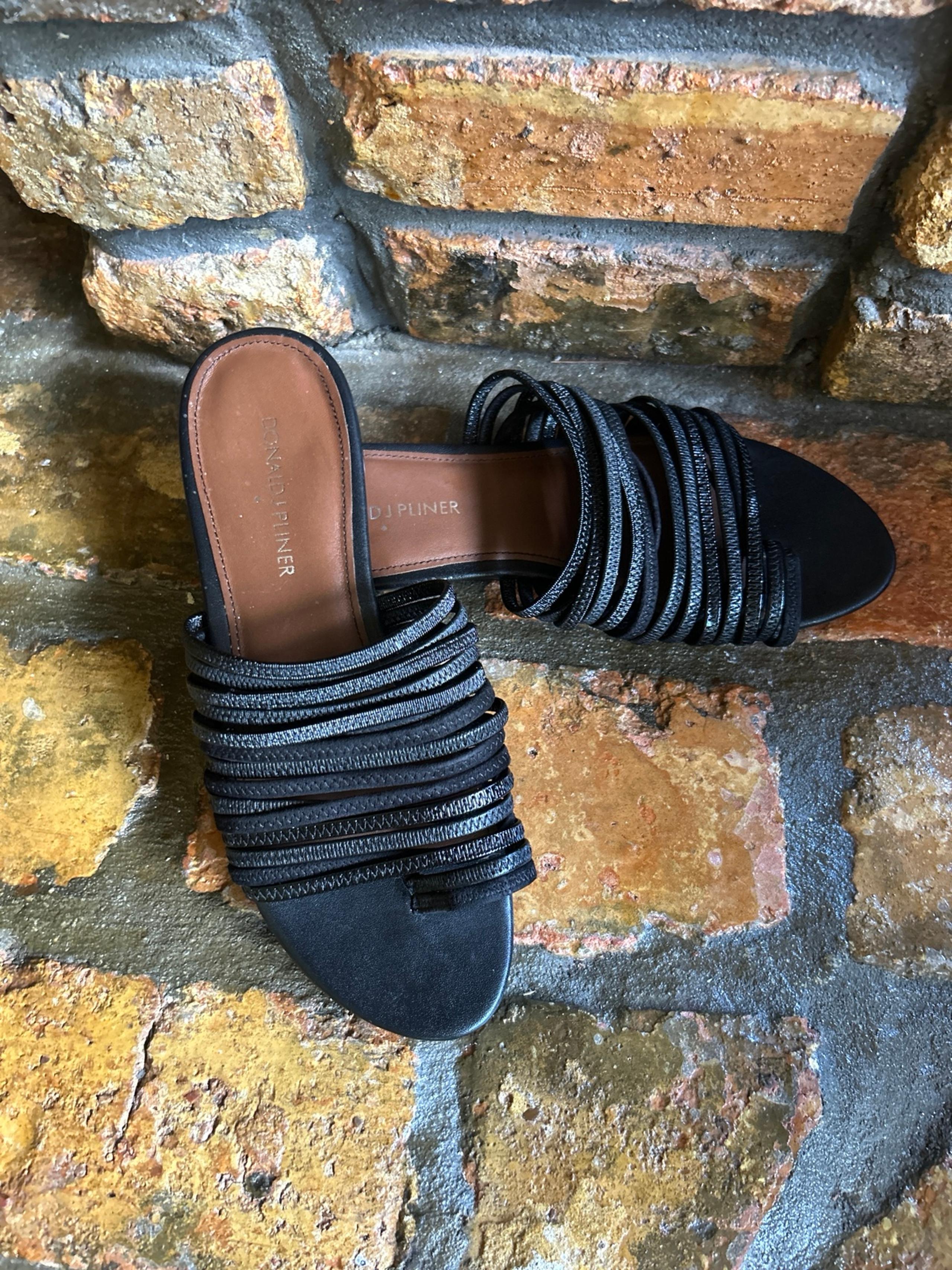 Donald J Pliner black sandals.