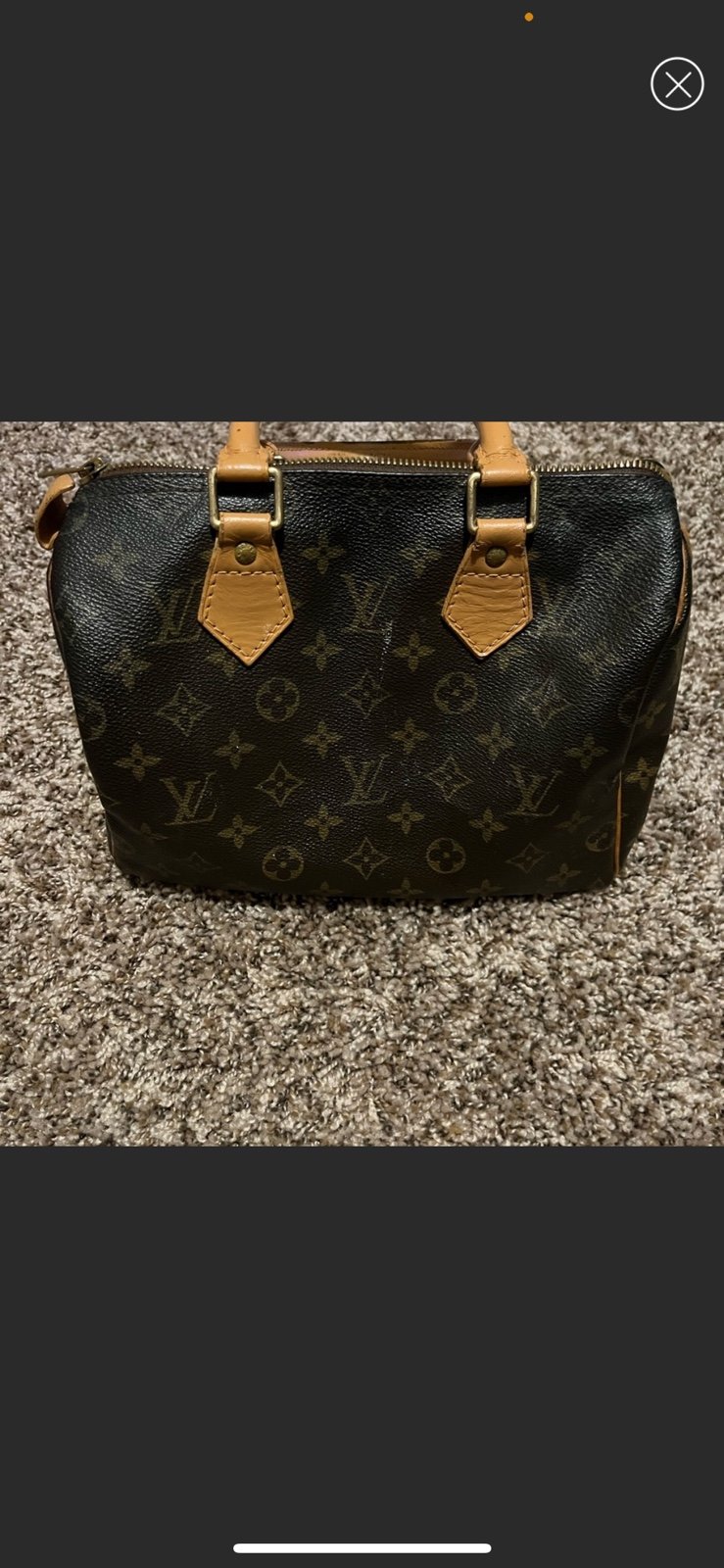Louis Vuitton Speedy 30