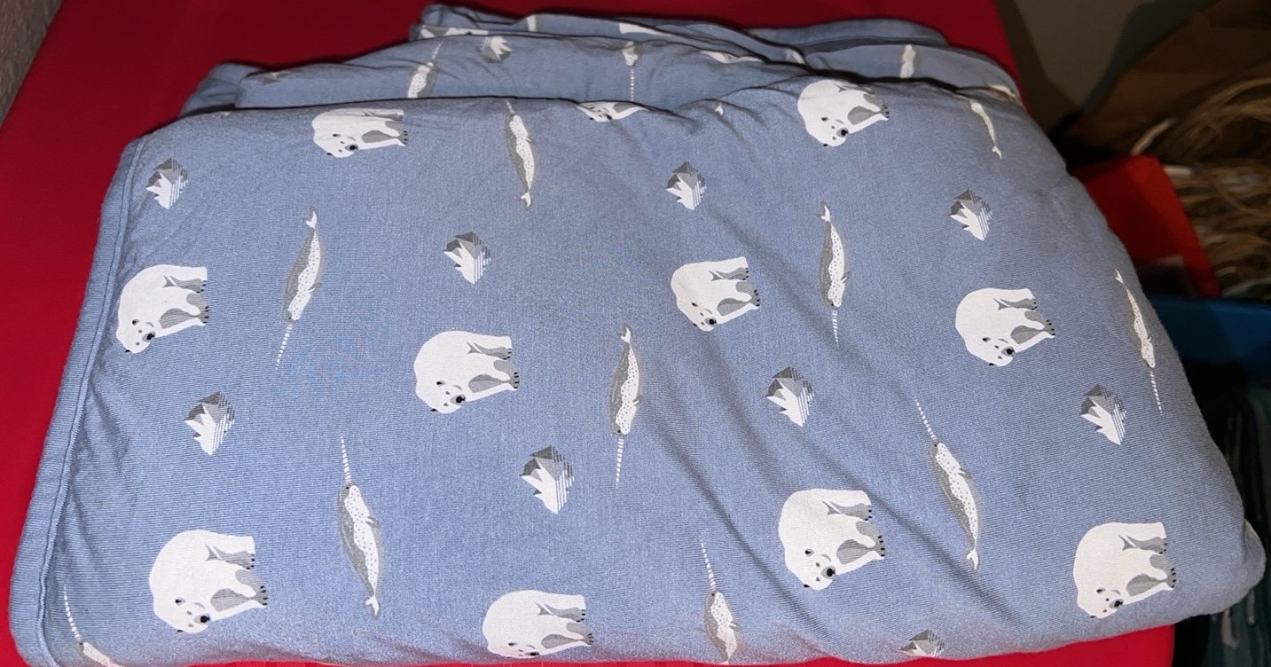 Kyte baby blanket toddler size Artic