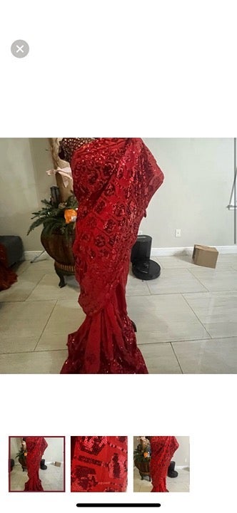 Indian Pakistani beautiful saree