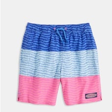 Vineyard Vines Boys' Pieced Chappy Swim Trunk Size XL (18)