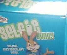 Candy bunny