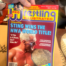 Pro Wrestling Illustrated November 1990 Magazine Sting Legion of Doom NWA WWF