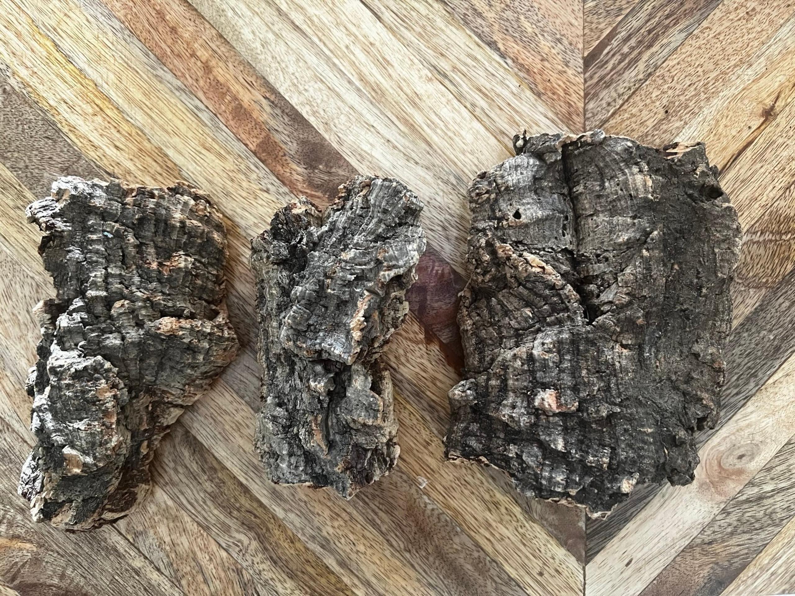 Chunky Wood Bark Pieces