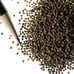 California Poppy Seeds - 1 pounds - **FREE SHIPPING**