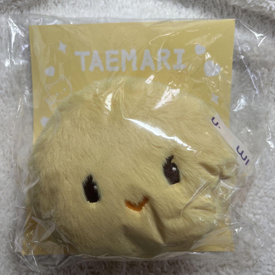 SHINee Taemin Pouch Temari