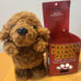 Talking Plush Poodle