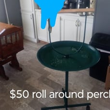 Roll around bird perch with food and water bowls