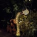 2 Pack Solar LED Watering Can Fairy String Lights, Water Can and Metal Post