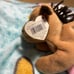1995 5th Generation “Derby” Original Beanie Baby