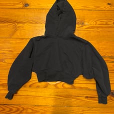 Aritzia TNA cropped hoodie