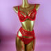 Red lingerie set
