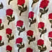 Kos Resort Floral Print Tassel Crop Top, Size Medium Red/White