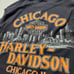 Vintage Harley-Davidson CHICAGO IL Sleeveless USA Size XL