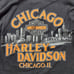Vintage Harley-Davidson CHICAGO IL Sleeveless USA Size XL